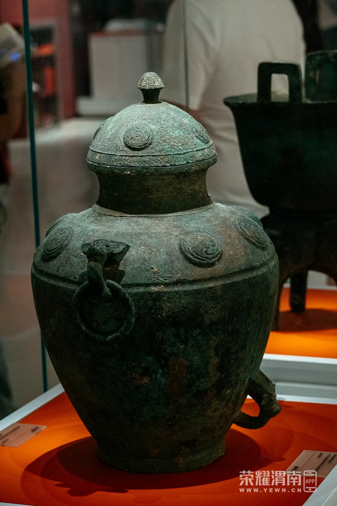 _ZFA7822.jpg