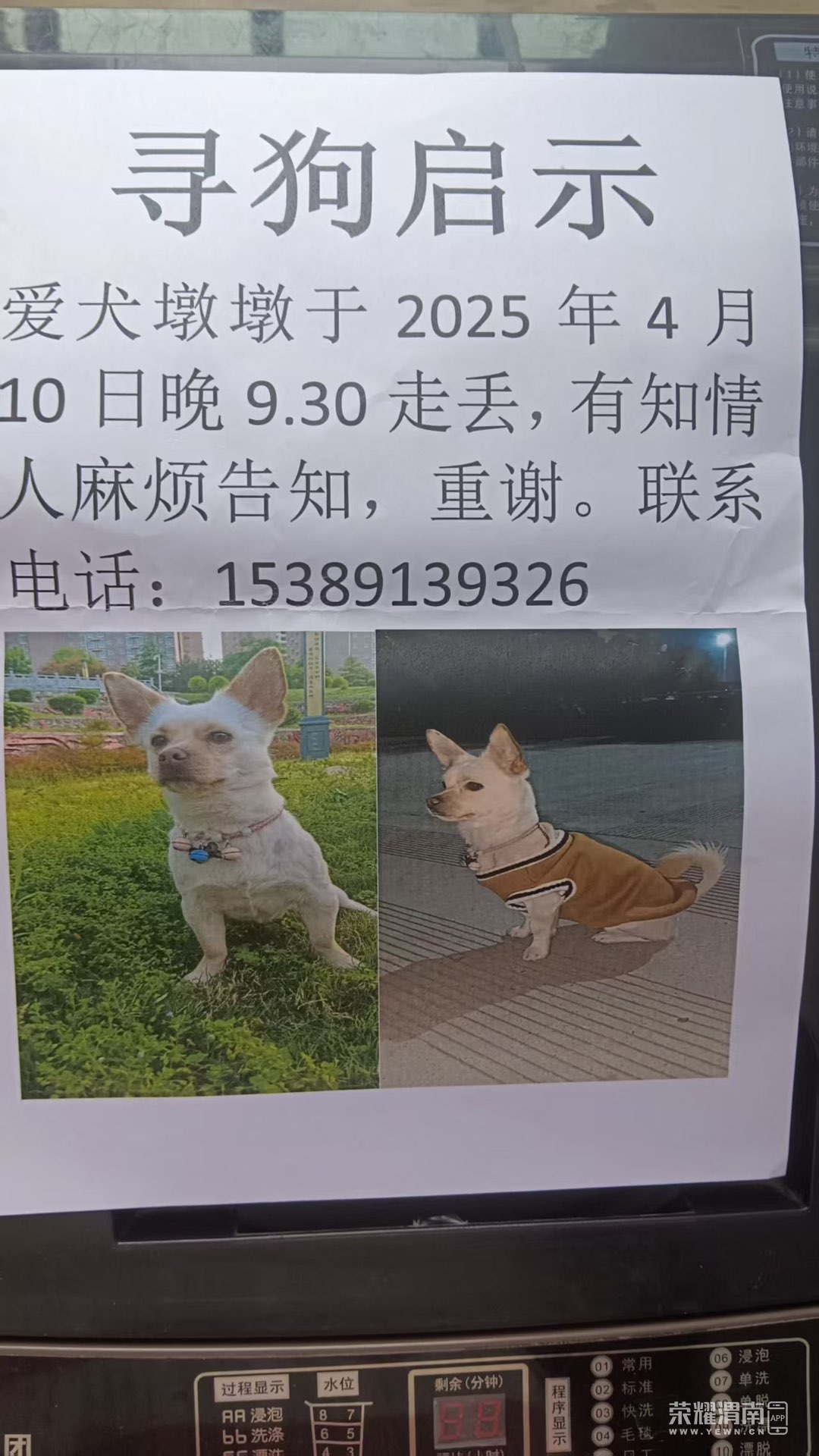 20250531190224front1_0_305578_Frk-Mlr53eVGfKzbgK2BQdovrHUo.jpg