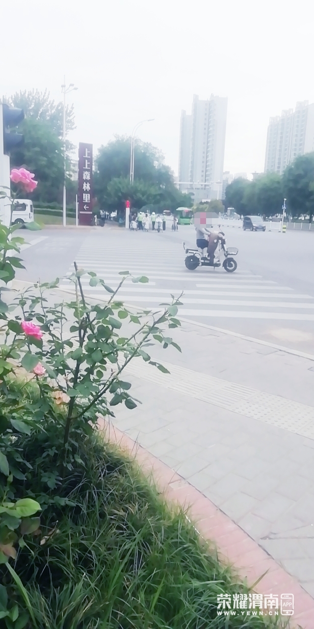 ΢ͼƬ༭_20250604161114.jpg
