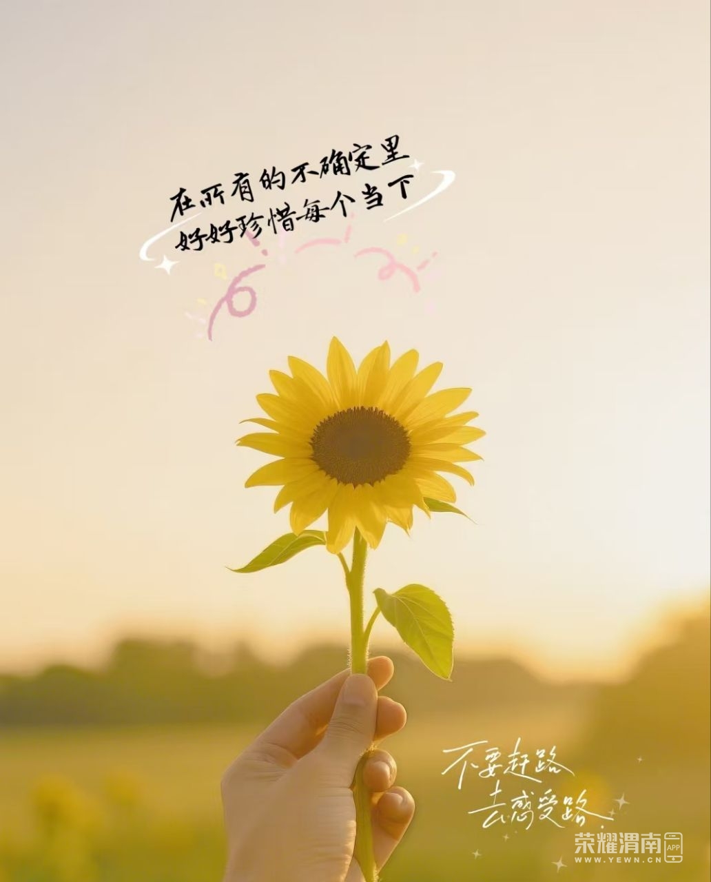20250607224203front2_0_275988_FkbtC5miZZEkf_688MBLXf-Xq3gV.jpg