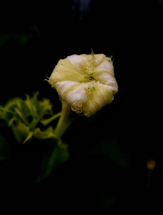20250613204941front2_0_161040_Fp_MgPEhuwgeKcoRzFxq7U1iDkt-.jpg