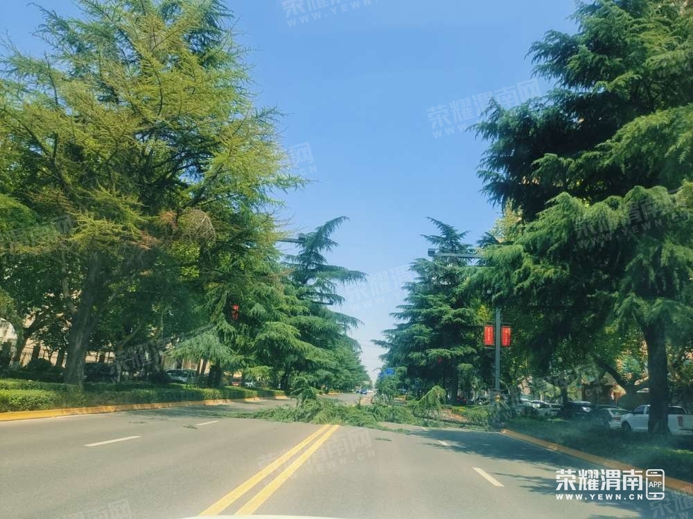 140635t2lq9vmk2vibdiym.jpg