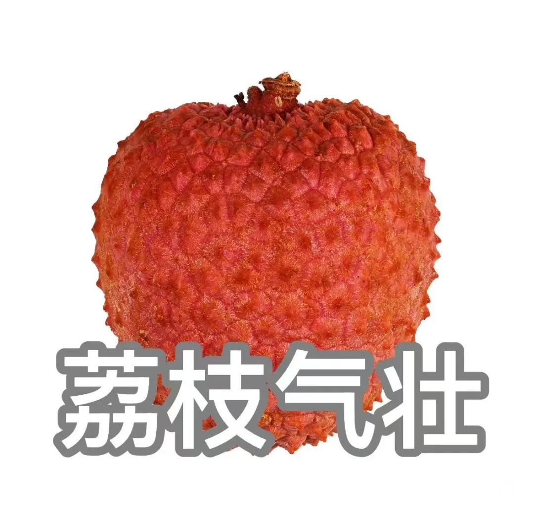 144751g65zqkrtkwgzwi9g.jpeg