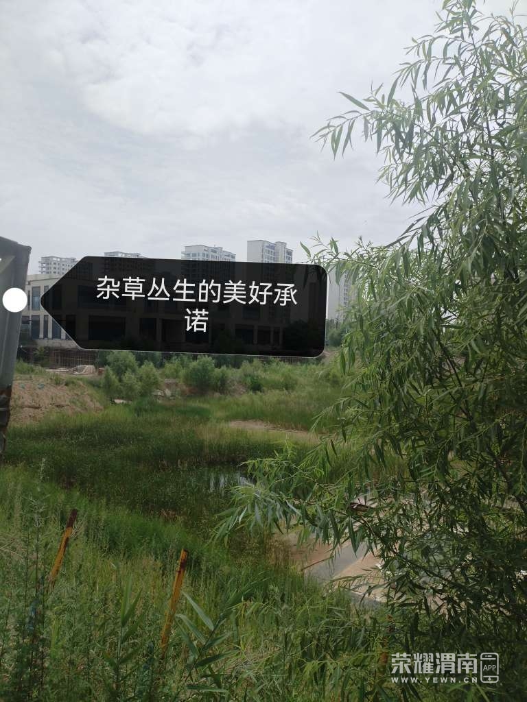 20250618150753front2_0_125287_Fg-ZUAlglXO-Xxdb9rcsINXZkKNs.jpg