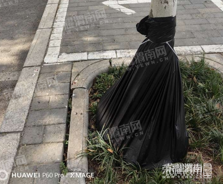 ΢Žͼ_20250619140524.png