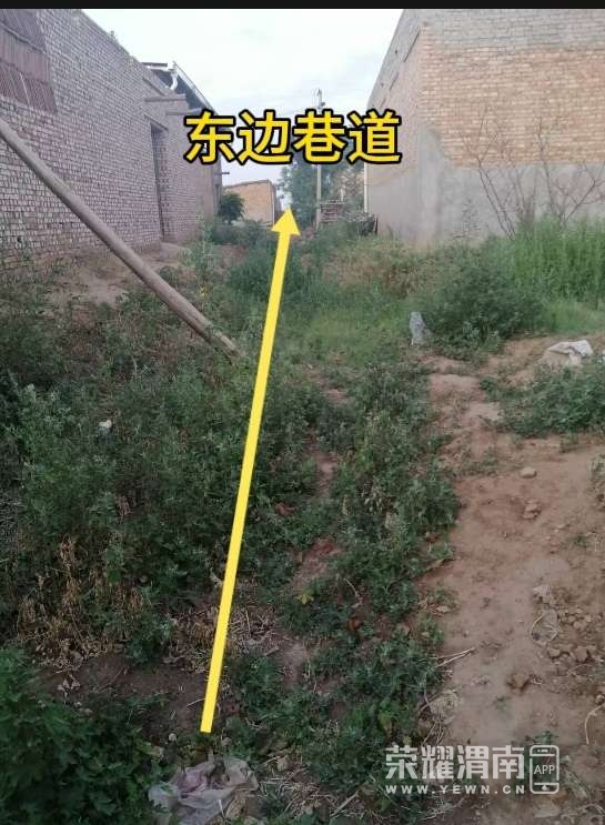 20250620123239front2_0_270964_FtKVGeNjI8RSXemFnBIxtkaYfAqt.jpg