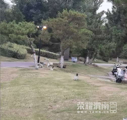 wechat_2025-06-24_194757_668.png