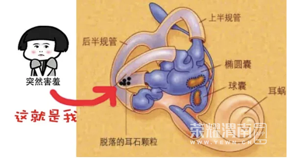 160603s5clo7627oki35ac.png