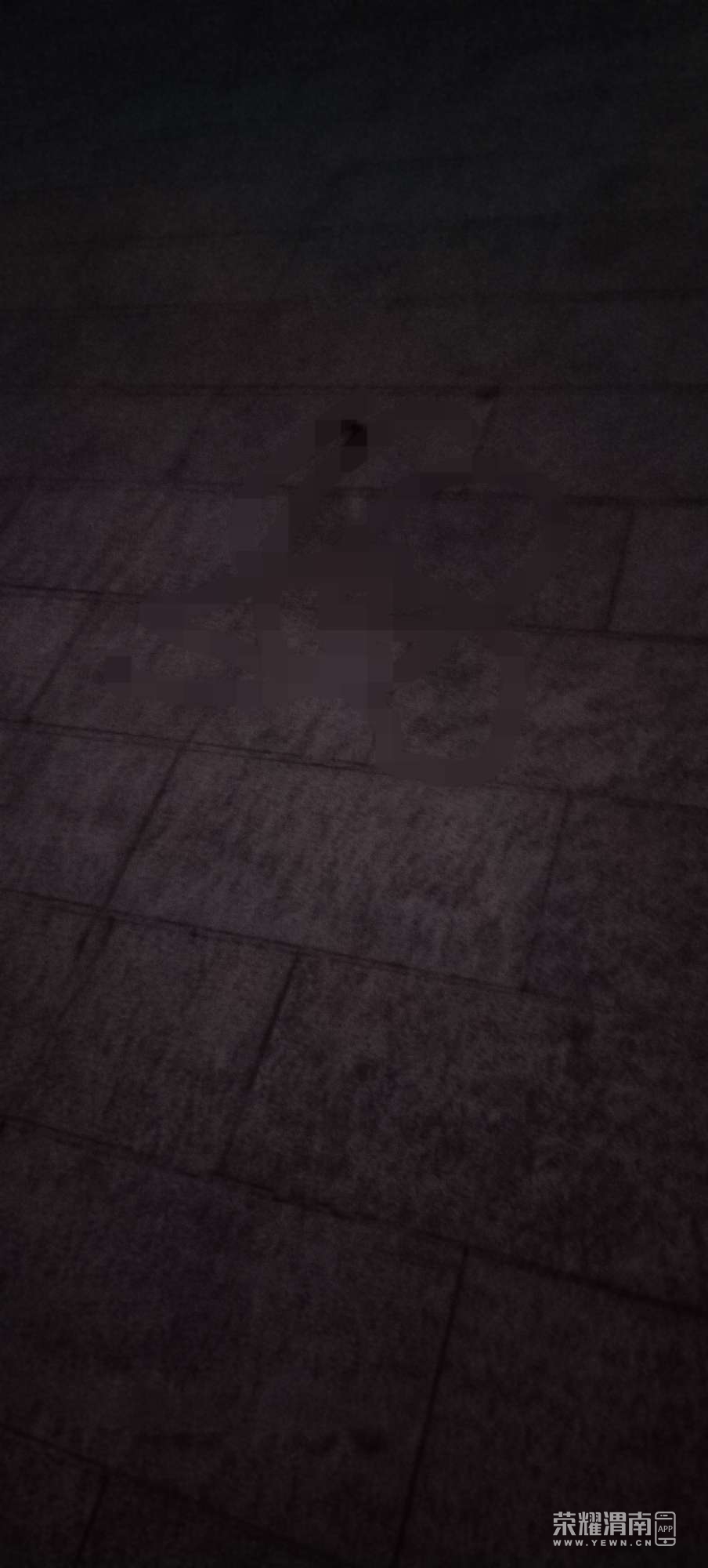 20250711203615front2_0_206085_FoBccc5YWke0OKgvv90hTiXheI4B.jpg