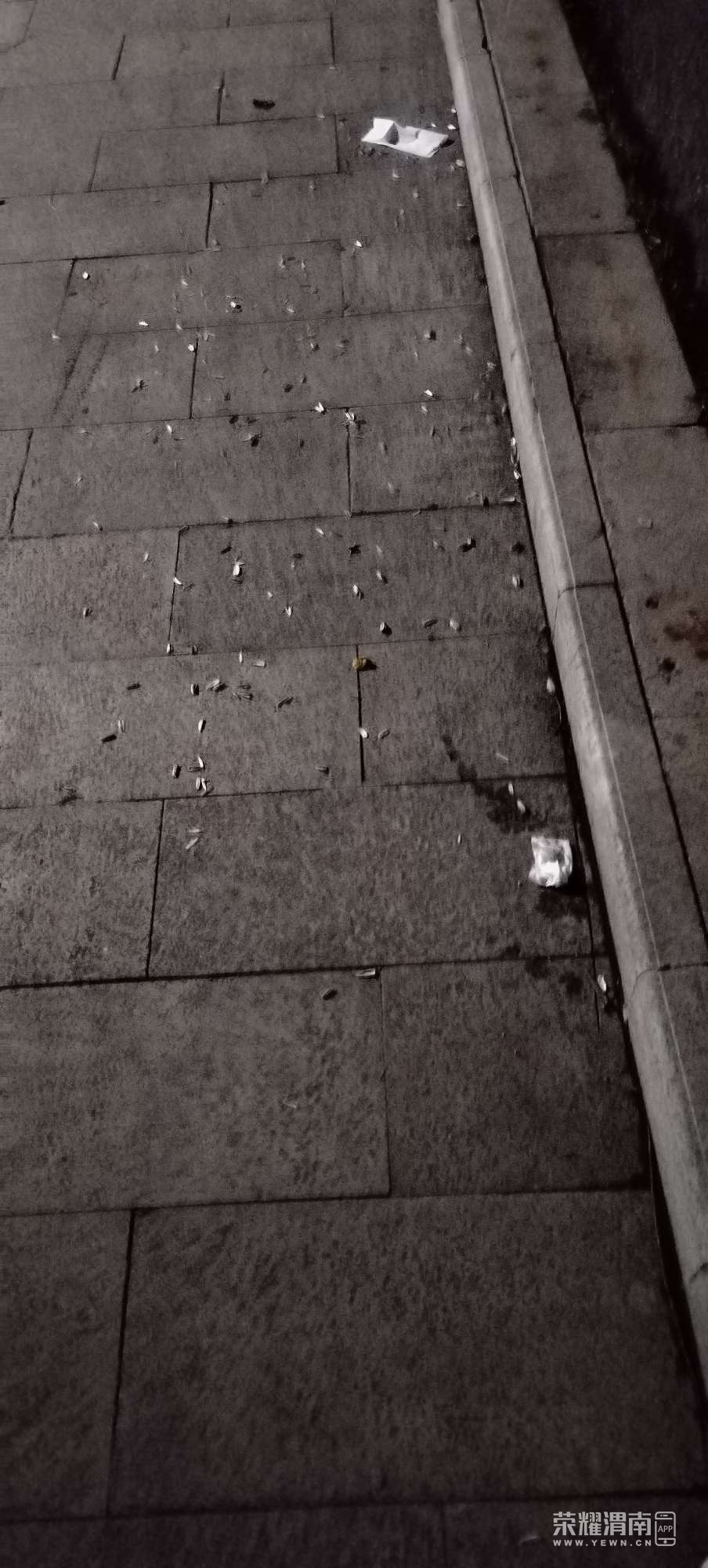 20250711204852front2_0_206085_FrGycZnMH8XpAR3dqOnwNnY4iJpp.jpg