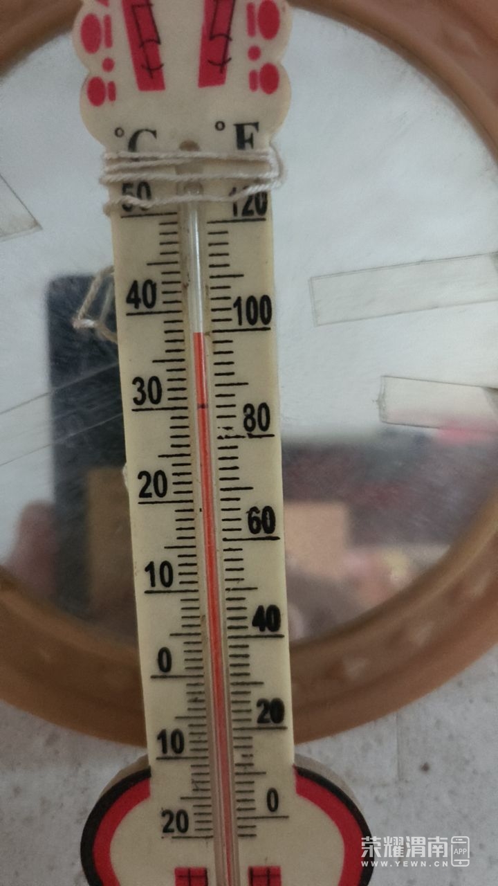 20250715225521front2_0_278786_FinT7ognrrH3Xe7IU3DCp8Y3gPuJ.jpg