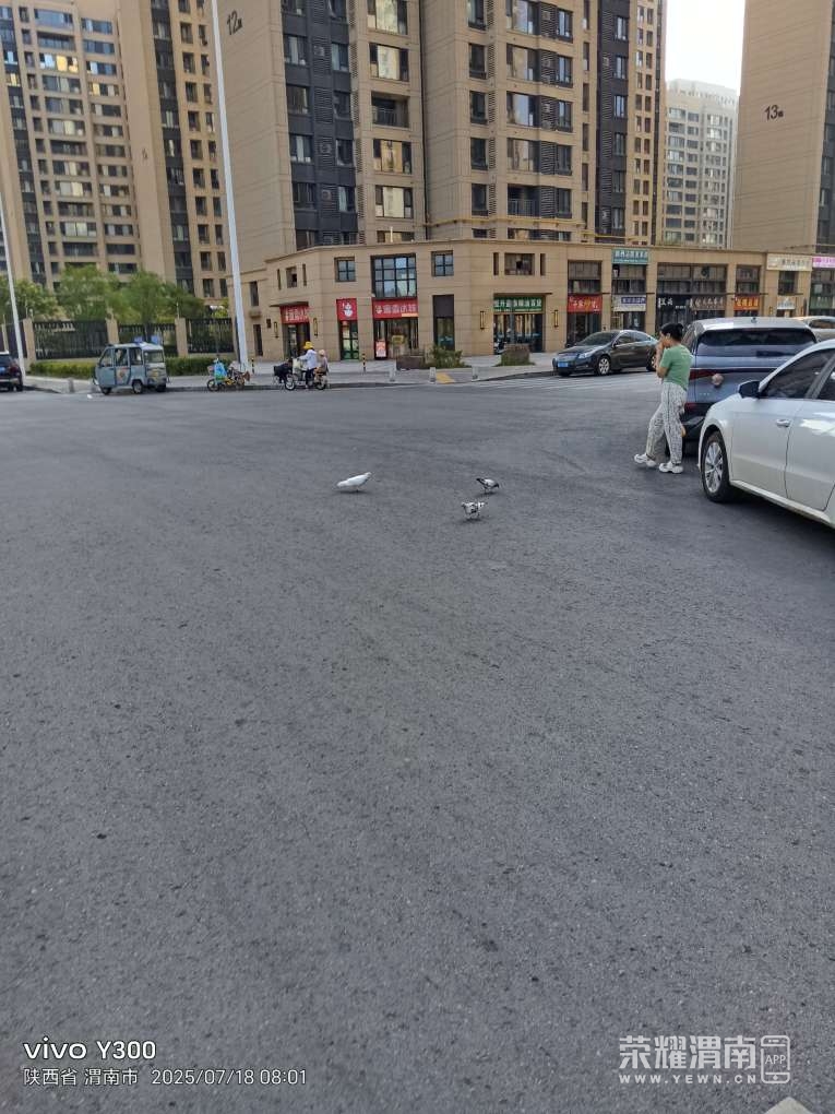 20250718082928front2_0_284286_Fs3UxhU8JzFFG7Vuy9GaxZh8jKLj.jpg