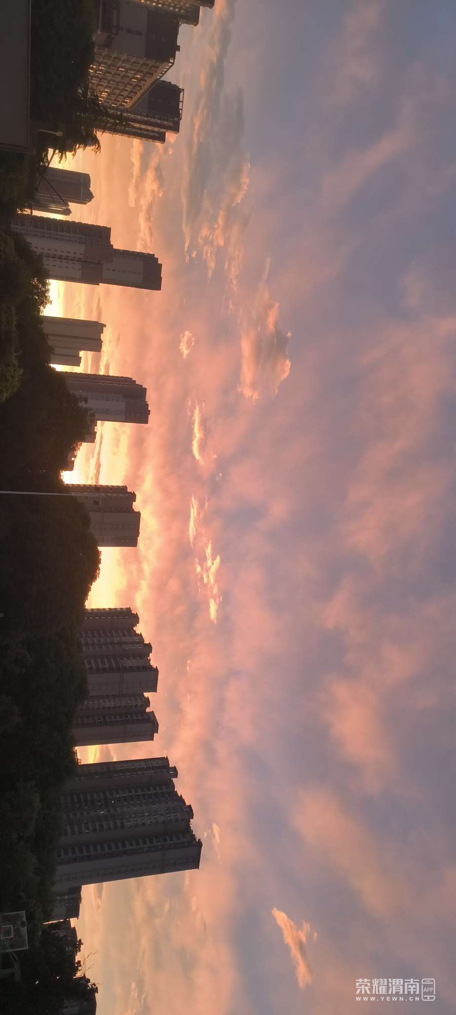 20250723201219front2_0_278908_FjxorHz4HgVijMaWzQ4uM22frwBp.jpg