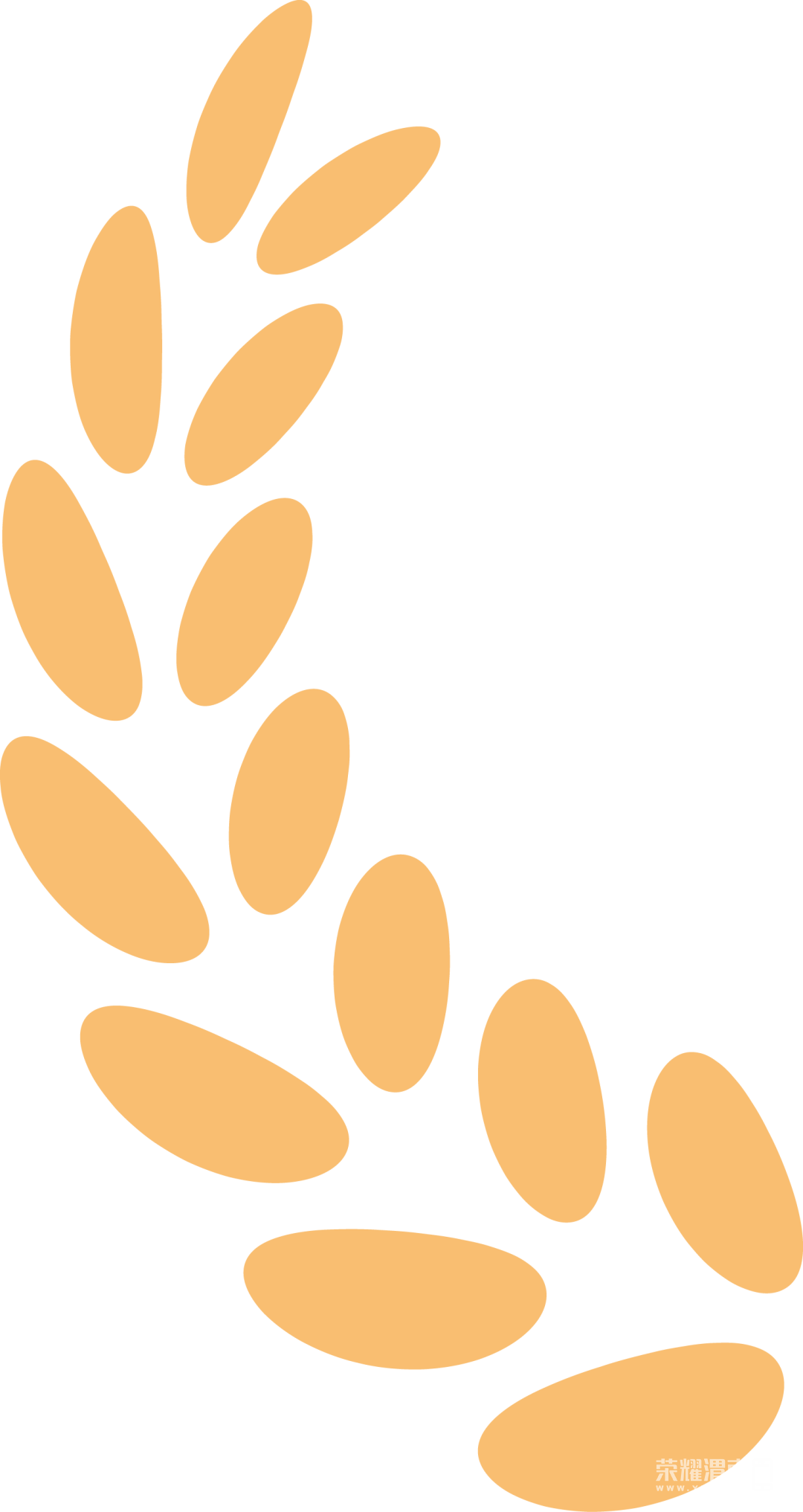 215128m66htrp5lhclt254.png