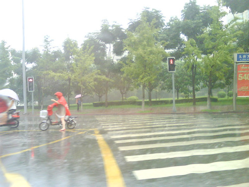 1005858_500x500_0.jpg