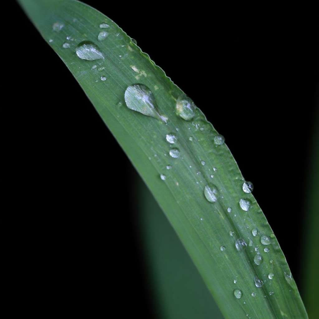 20250811210458front2_0_161040_FopOuwDk77qmxLXl1L5VNprC22KU.jpg
