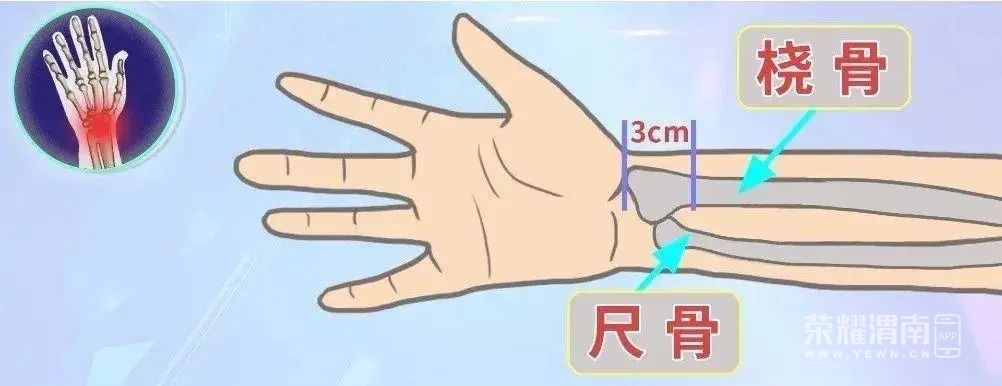 102037a8wwx90pp15fxpor.jpeg