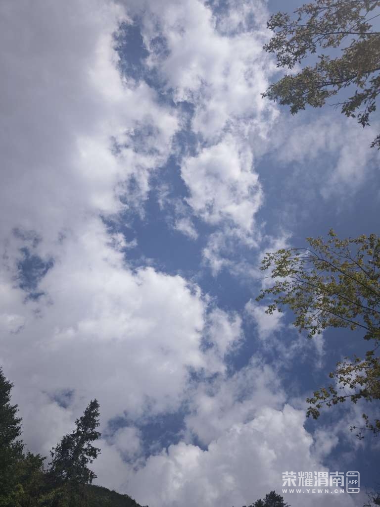 20250819131801front2_0_273616_Fk-3fbgTPLgebxlM9LGCKCHvu29-.jpg