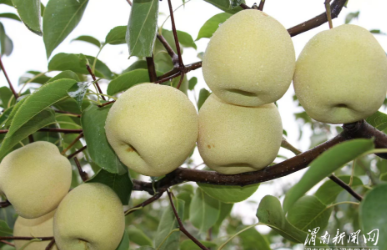 wechat_2025-08-25_172433_492.png