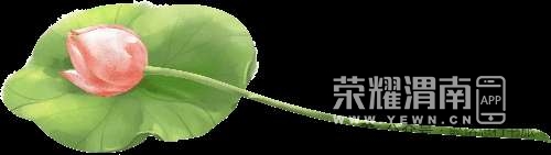 20250828130010front2_0_241611_FvuAWpZFbYmrW0Yatfk7NKqI7iJS.jpg