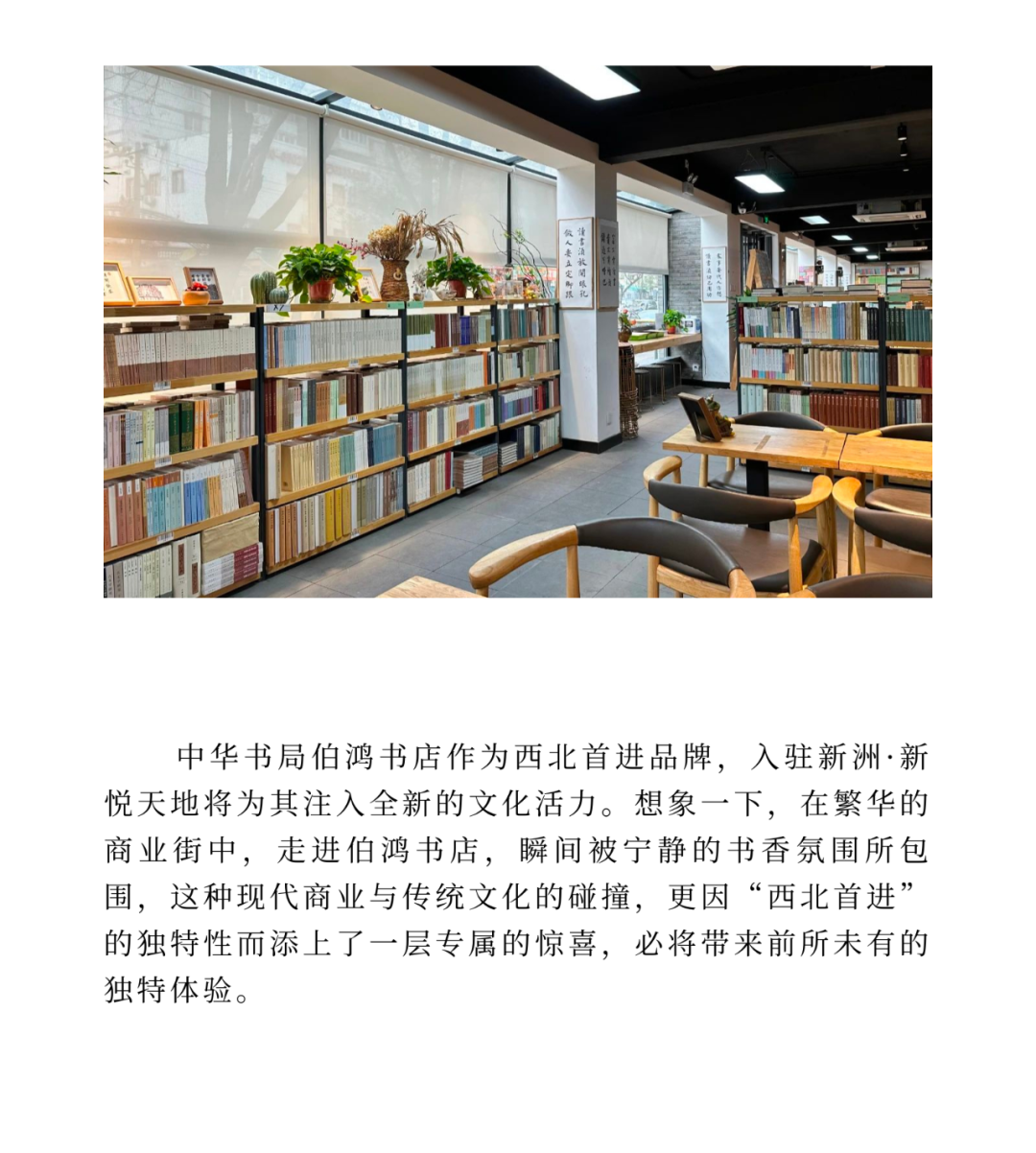 140647v3thujbt1htbwhu1.png