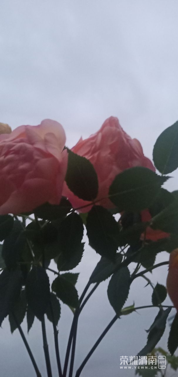 20250915163350front2_0_275934_FuBjjrRaQ7efbs6z-4pvZXbienO_.jpg
