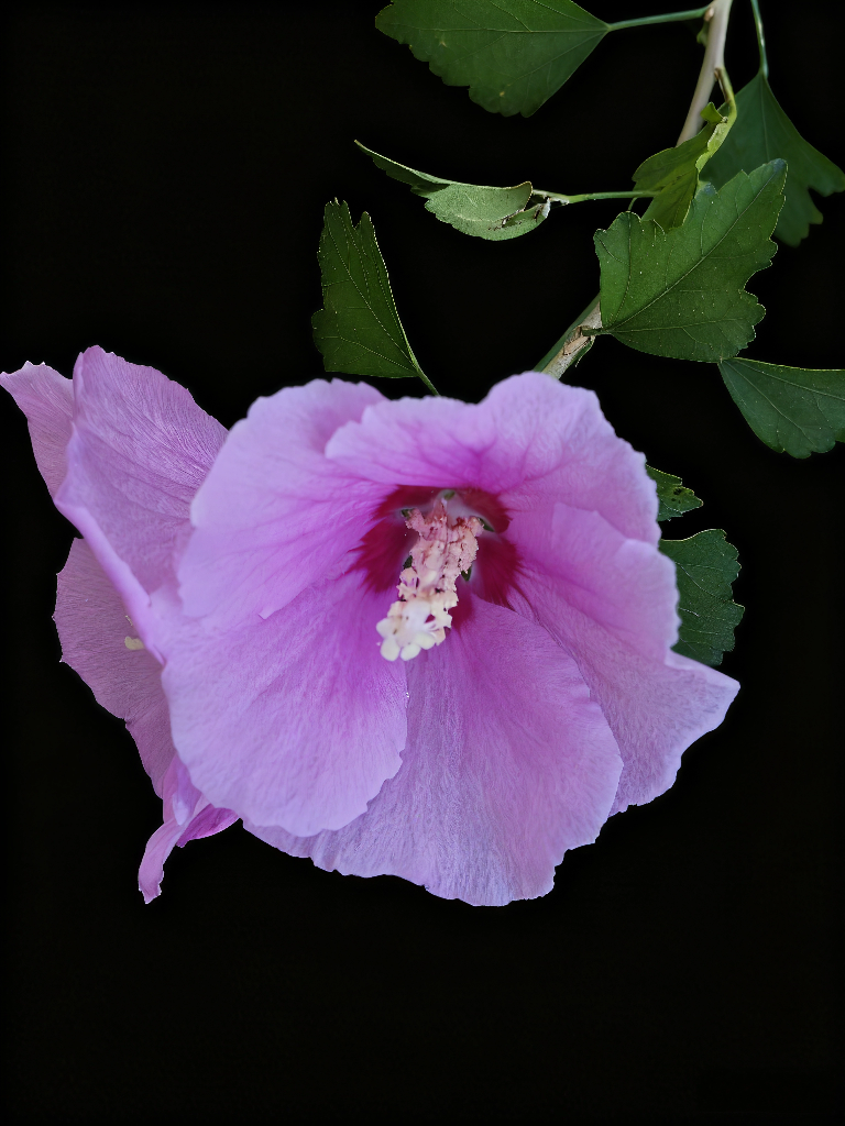 20250915192356front2_0_161040_FlGrRSNF31kVmnEH76M0hJWwbN-1.png