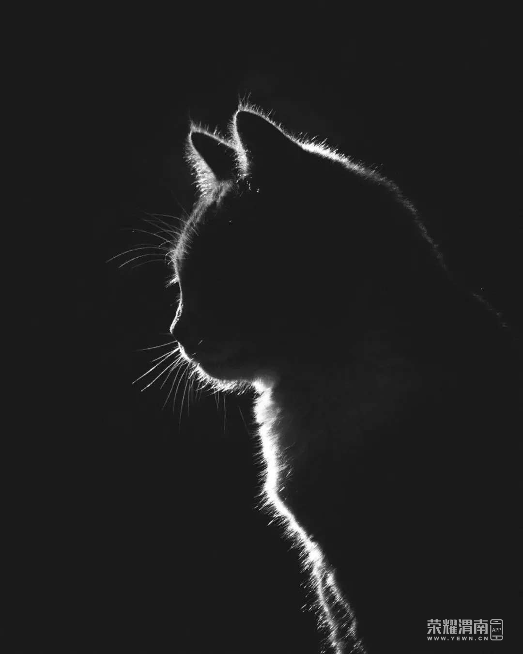 20250917093759front2_0_241611_FsKM_YYgWpZPZehEIMXOmn0TkqTZ.jpg