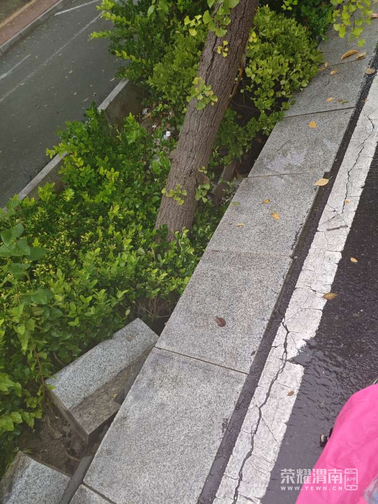 20250918082432front2_0_276765_Fm3Ajf3CeAInqoy15HXlRIWcDcVZ.jpg