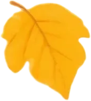 084903cxzr7zkrh747bkar.png
