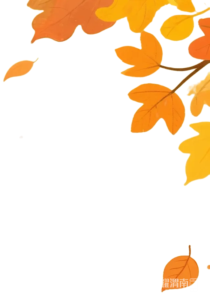 084904yvysys10rha9omvy.png