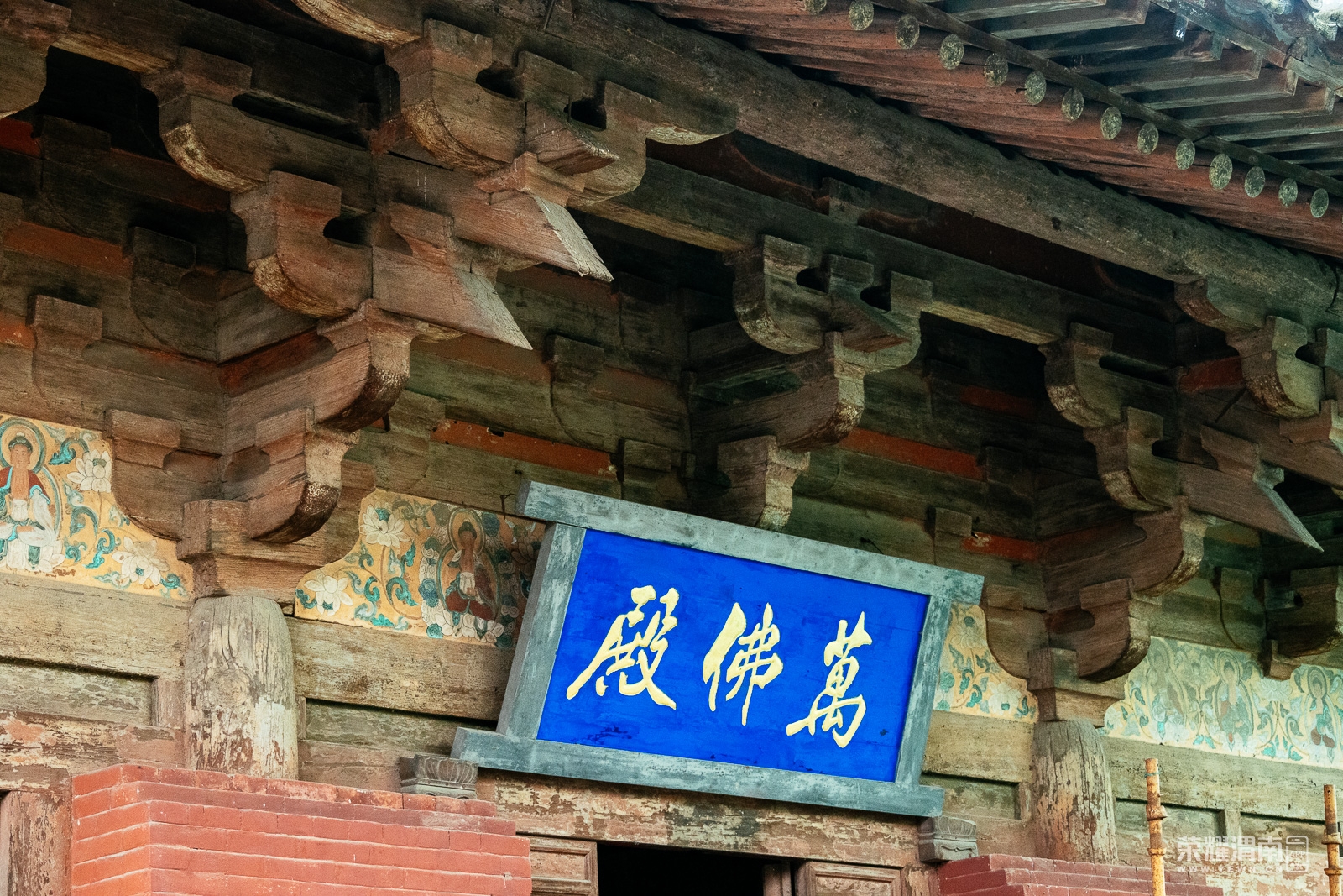 ƽңųǵ (167).jpg