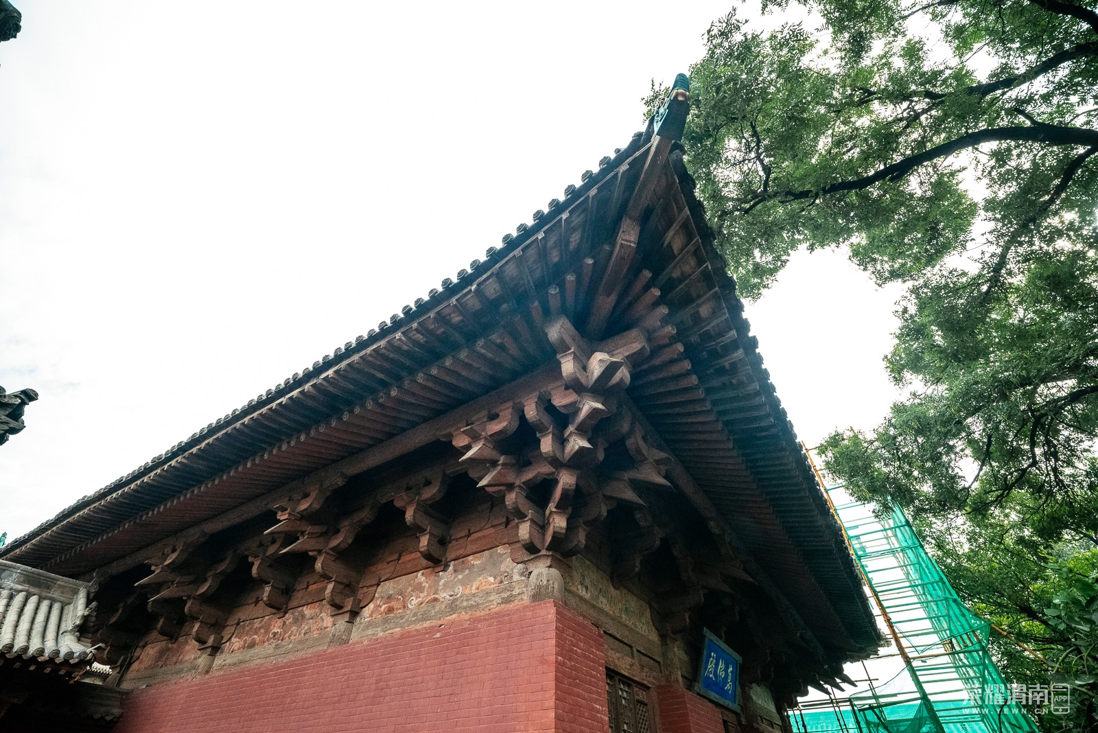 ƽңųǵ (168).jpg