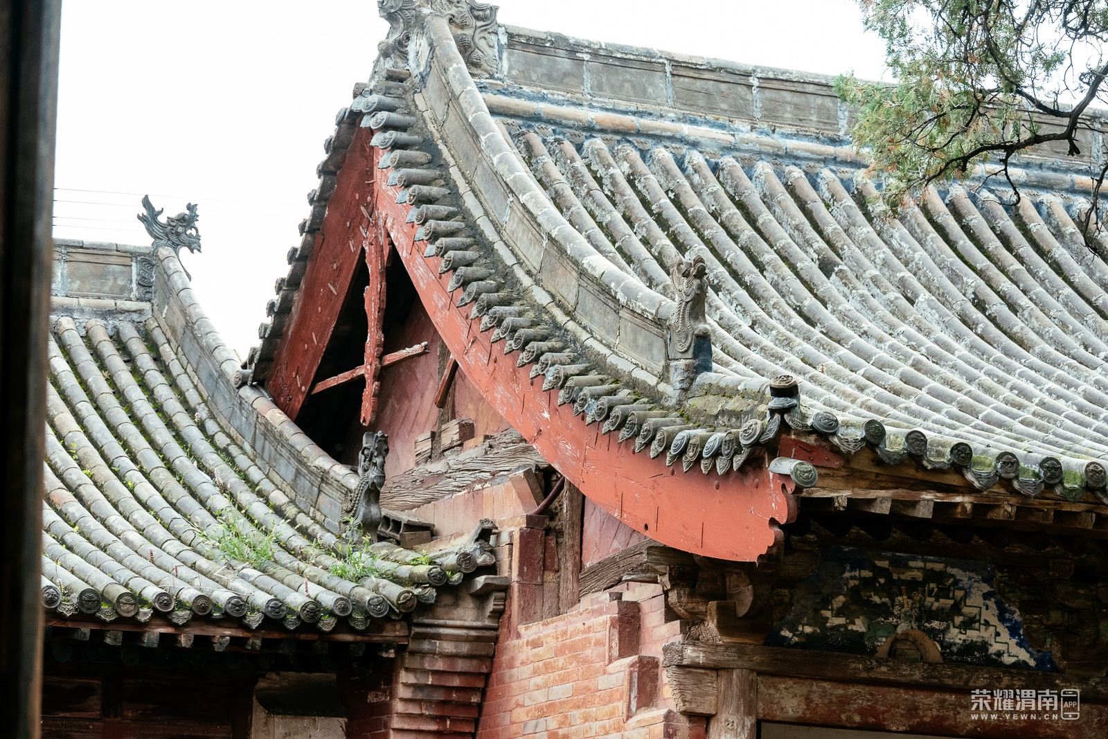 ƽңųǵ (180).jpg