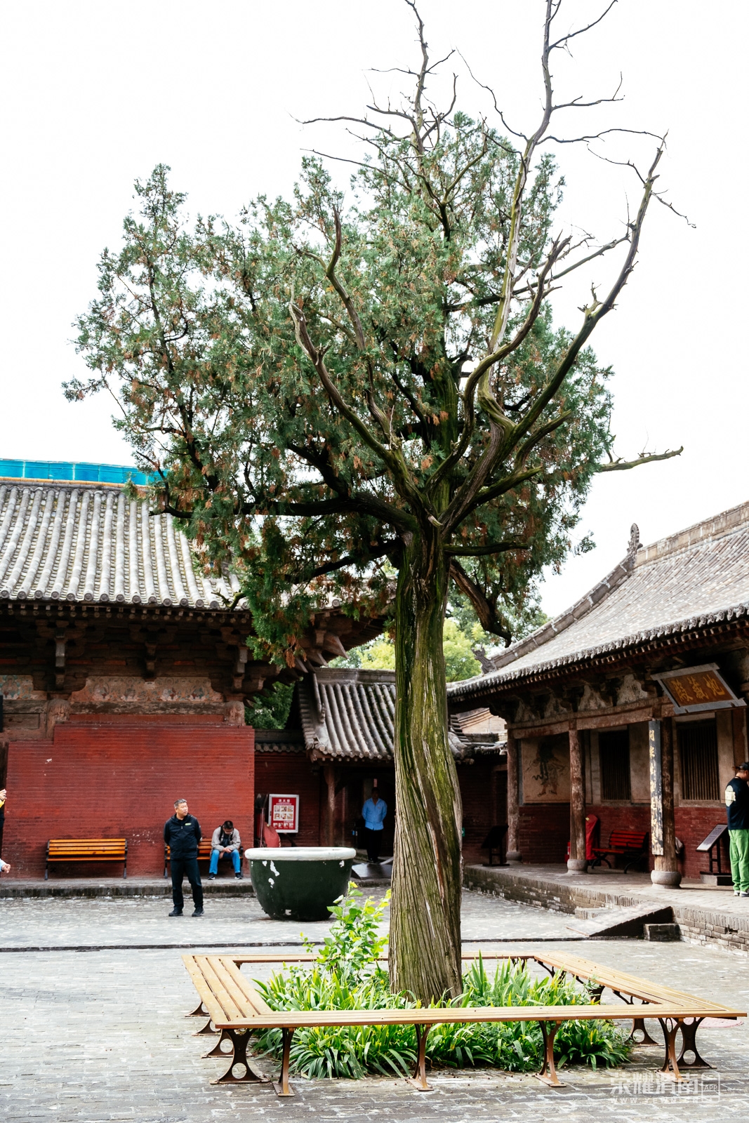 ƽңųǵ (184).jpg
