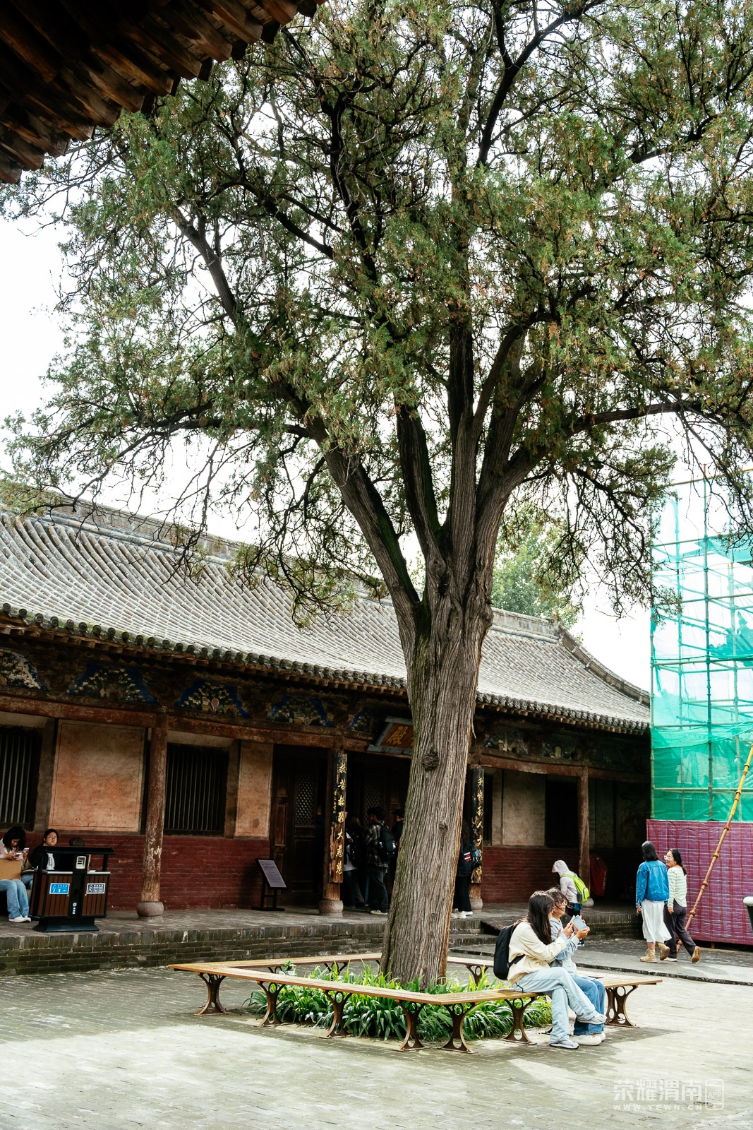 ƽңųǵ (185).jpg