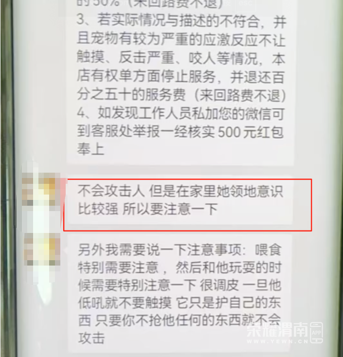 154832u8tryxtrhhxzpb89.png