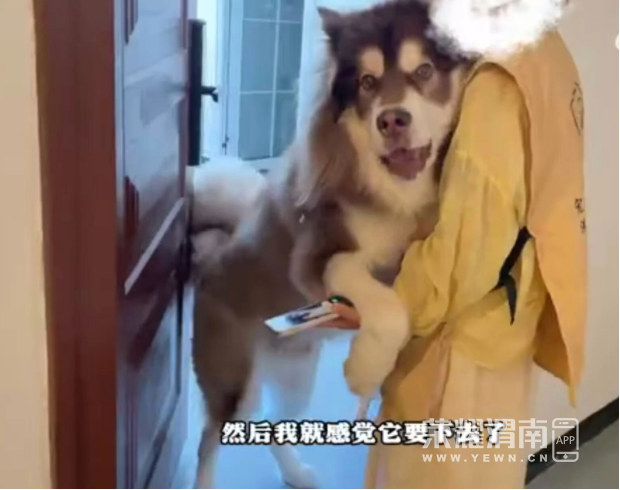 154833d991berw9ro9l5mv.png