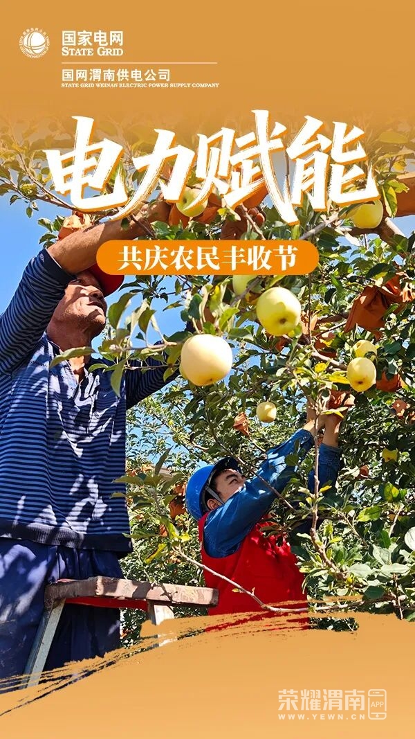 174826xg4gqc37huoqo9b3.jpg