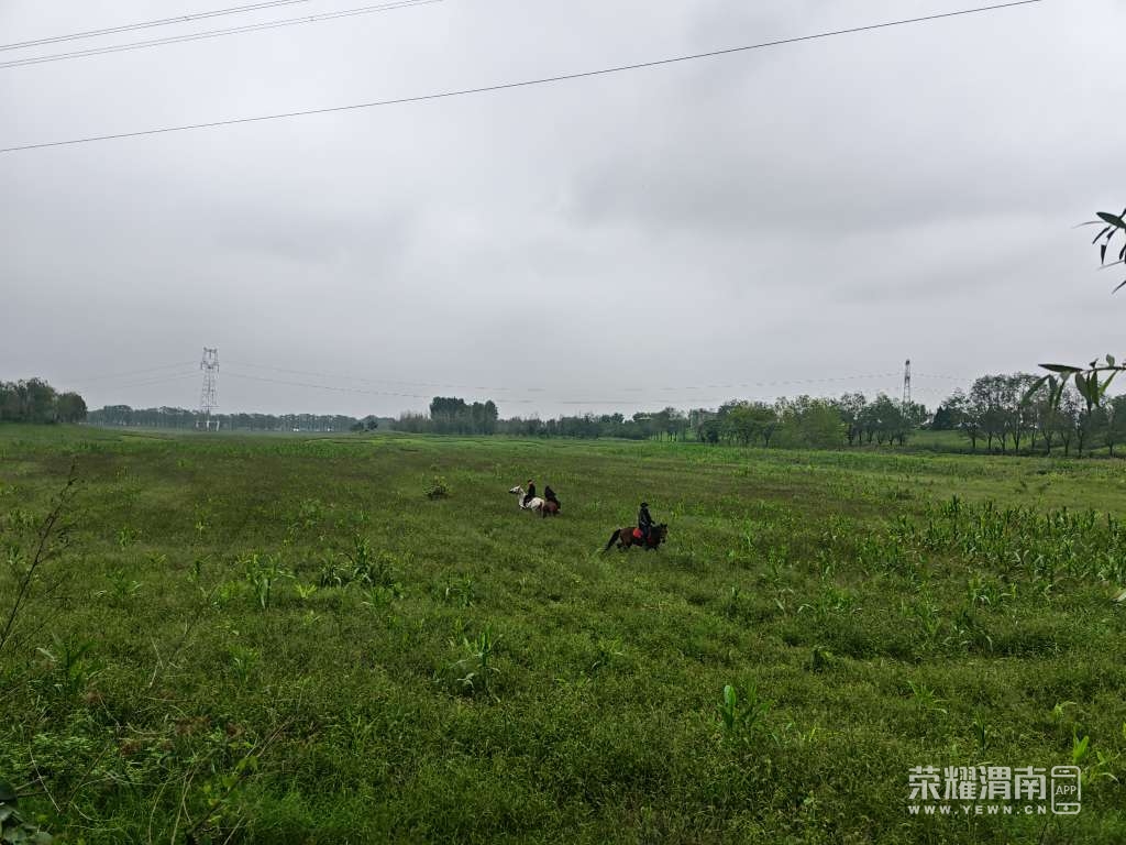 20250927145220front2_0_290576_FuHiFMle8LR01TYj20AT4ZAl0QOC.jpg