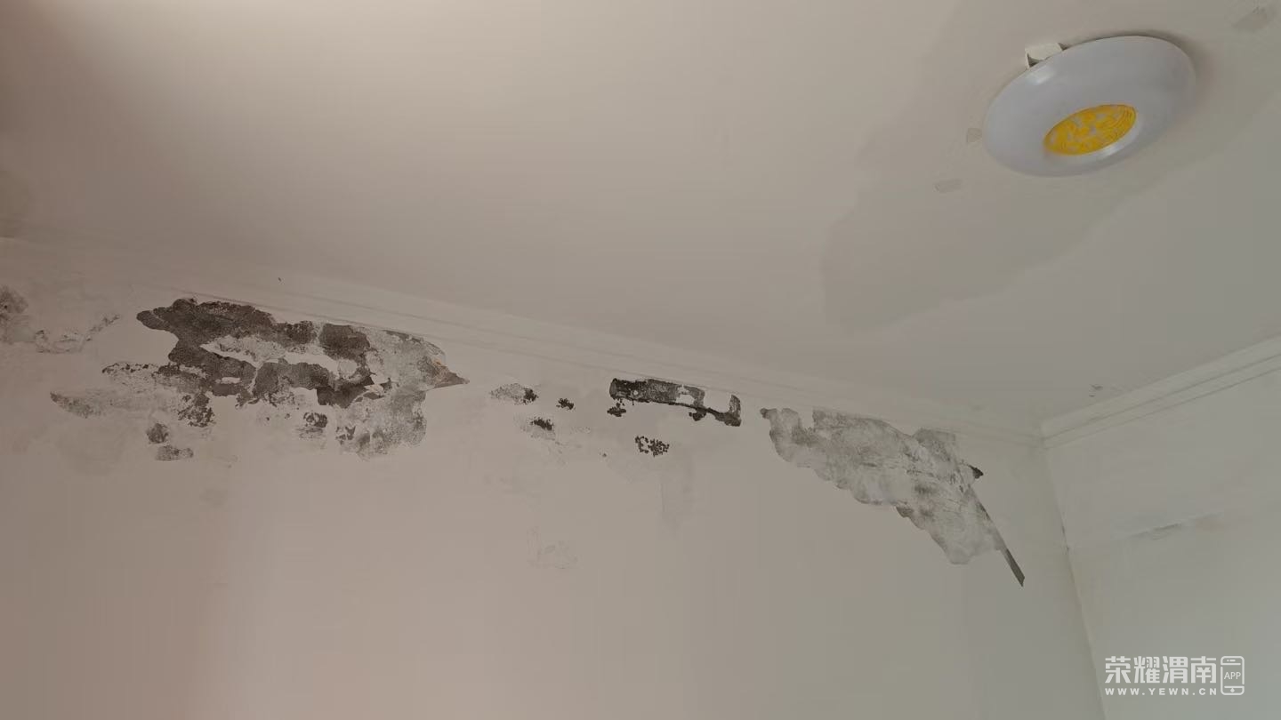 20251007203024mini_bbs_wap_245435_FsN5B3P4YOts6a-lC-DFE7tWarJN.jpg