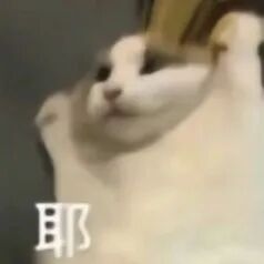 102451g31d3y3yo8l0lc0l.jpeg