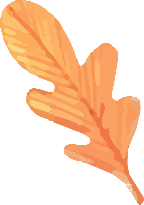 171249of111fyewehfh2er.png