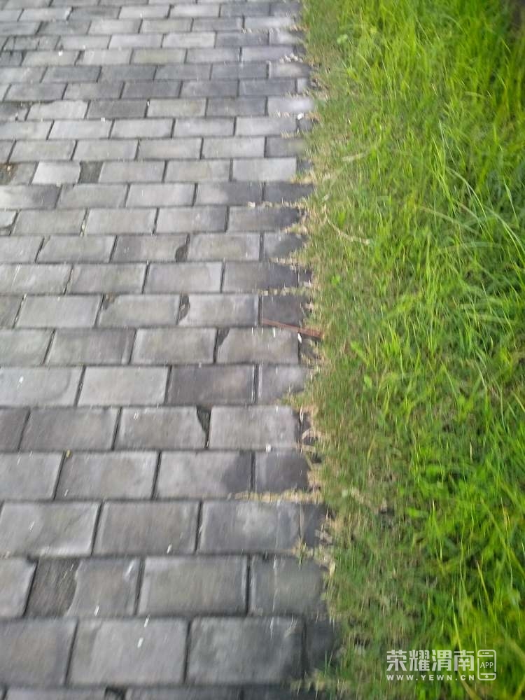 20251027132246front2_0_206085_FuunuLdCX4UoWoquumd78dWAnsdW.jpg