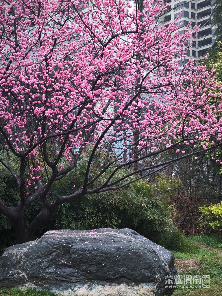 20260305112605front2_0_294128_FpiT5f5kppVmrS6ONJp2C2EnDyc1.jpg