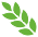 152002csye2nnyxnahurwh.jpg