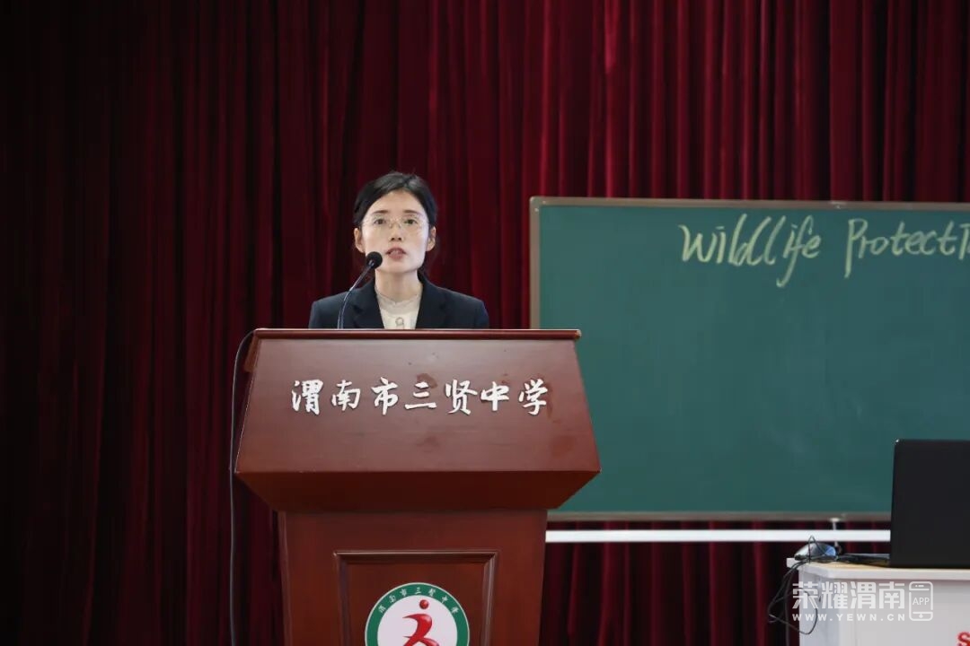 094311qcalm17199ku43le.jpeg