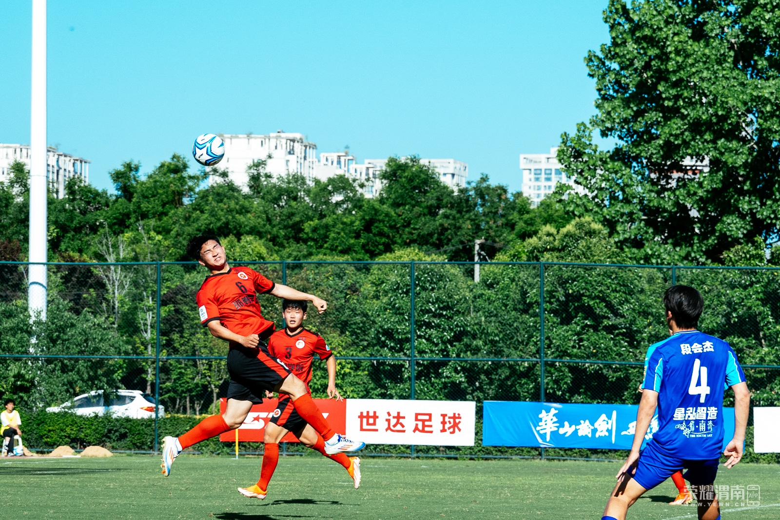 _ZFD8249.jpg