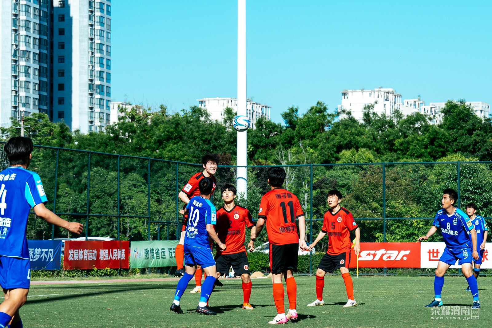 _ZFD8264.jpg