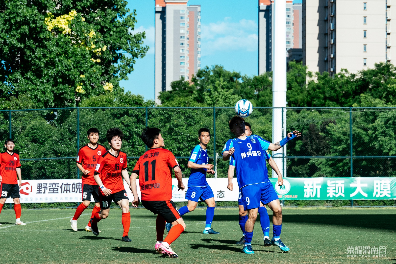_ZFD8270.jpg